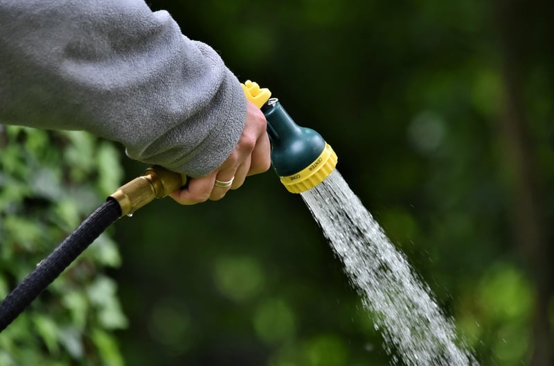 Watering Tips