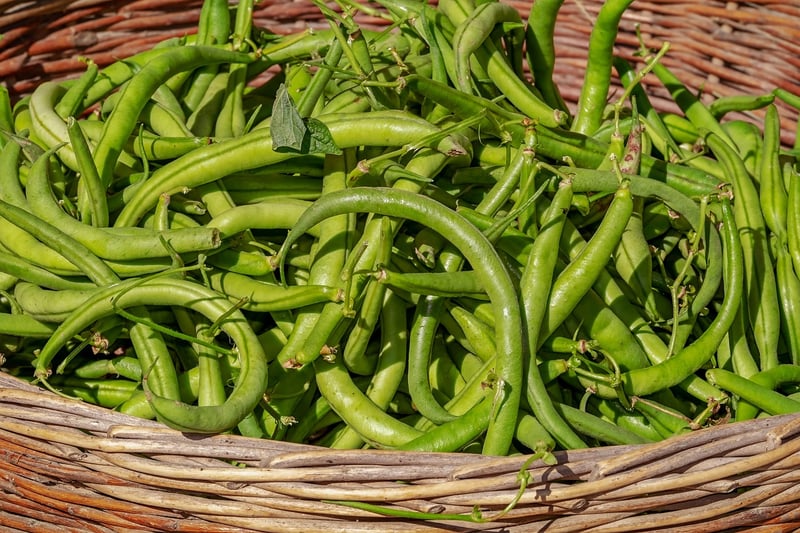 Summer Harvest
